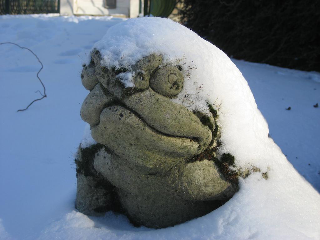 Le Moulin De Lusseau Bed and Breakfast Chef-Boutonne Exterior foto