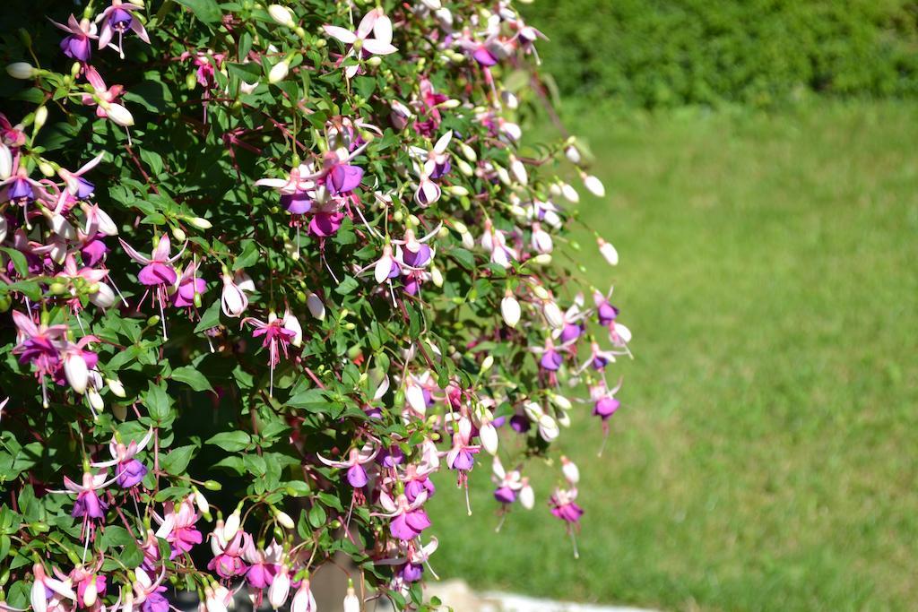 Le Moulin De Lusseau Bed and Breakfast Chef-Boutonne Exterior foto