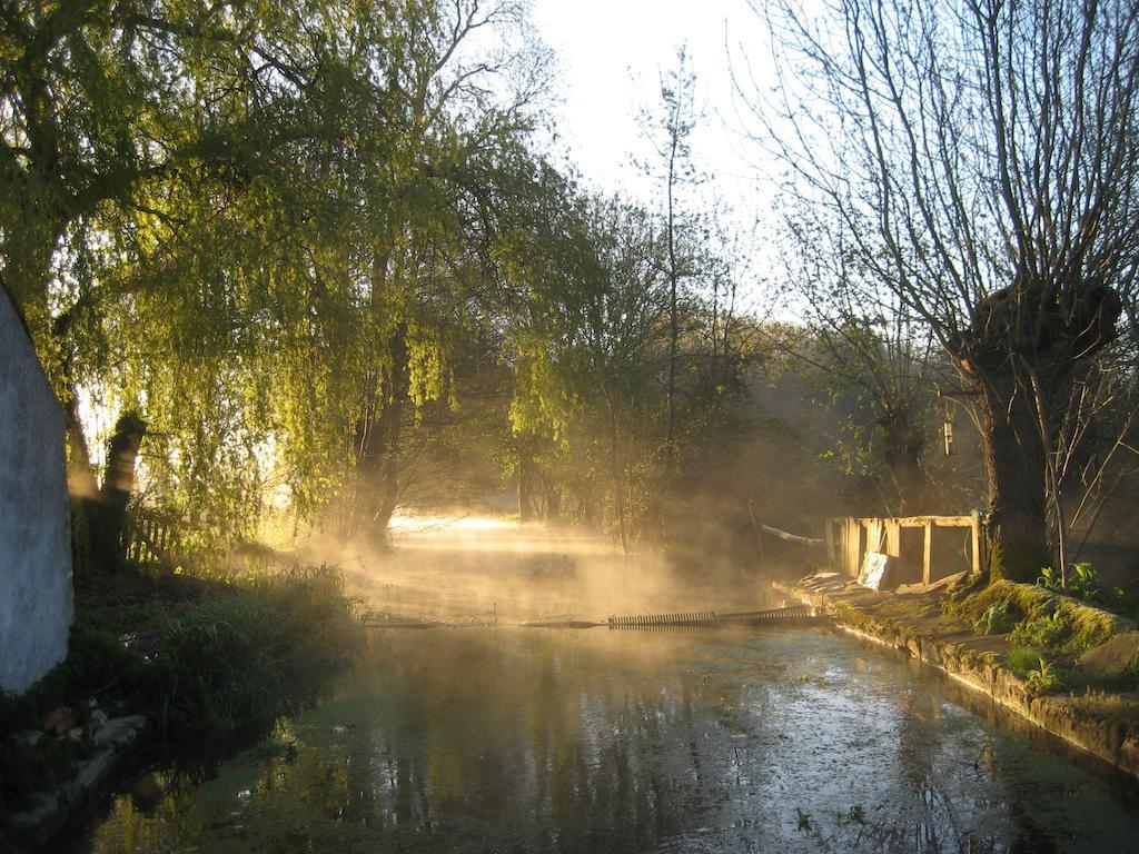Le Moulin De Lusseau Bed and Breakfast Chef-Boutonne Exterior foto
